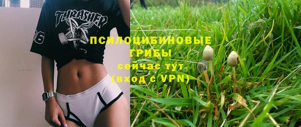 mix Алексин