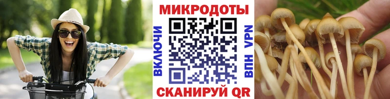Псилоцибиновые грибы Psilocybe цена Собинка